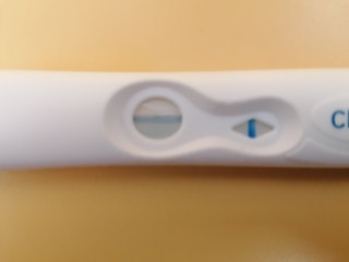 The TWW begins - testing 11/12 Feb. 