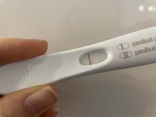 5dt Early Testers? 