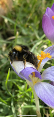 Spring things that you can look forward to in the next few weeks