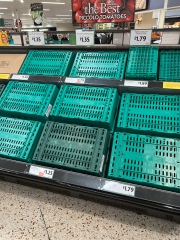 Why is it so hard to get fruit and salad?