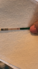 my pregnancy test