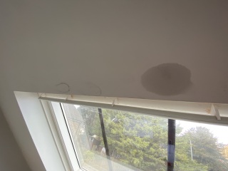 Leaking velux installation or condensation?