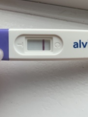 Conception