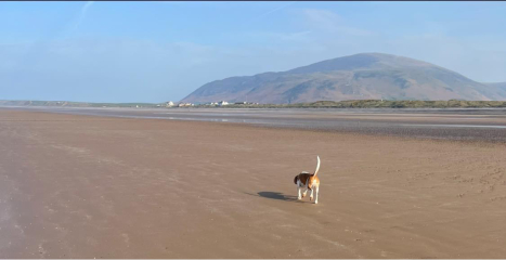 Where is the absolute best beach in the U.K.?