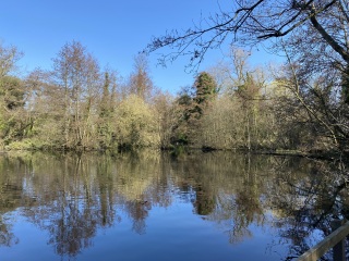 Moving to Suffolk - where?