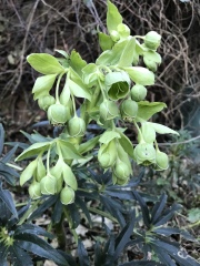 Come and tell me your dull and unexciting news 24: Calmly through the day 