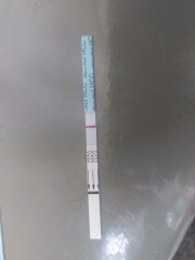 Is this a line, i am not sure :(
