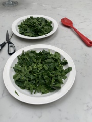 Jan '23 Low Carb Bootcamp - Week 7 - almost there ...