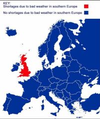Fruit and veg shortages