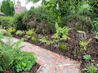 Please show me your courtyard gardens!