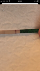 my pregnancy test