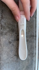 11dpo test