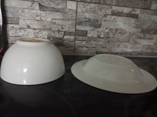 dish or bowl, please help settle this!