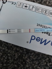 Is this a line, i am not sure :(