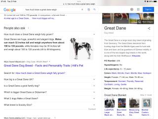 DH gave the dog marmite