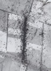 Ukraine Invasion: Part 37