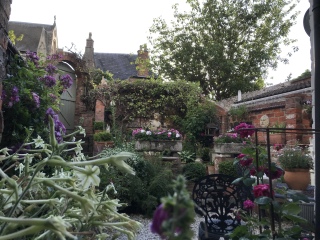 Please show me your courtyard gardens!