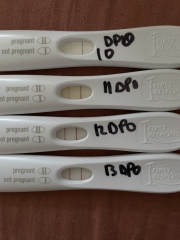 Due October 2023