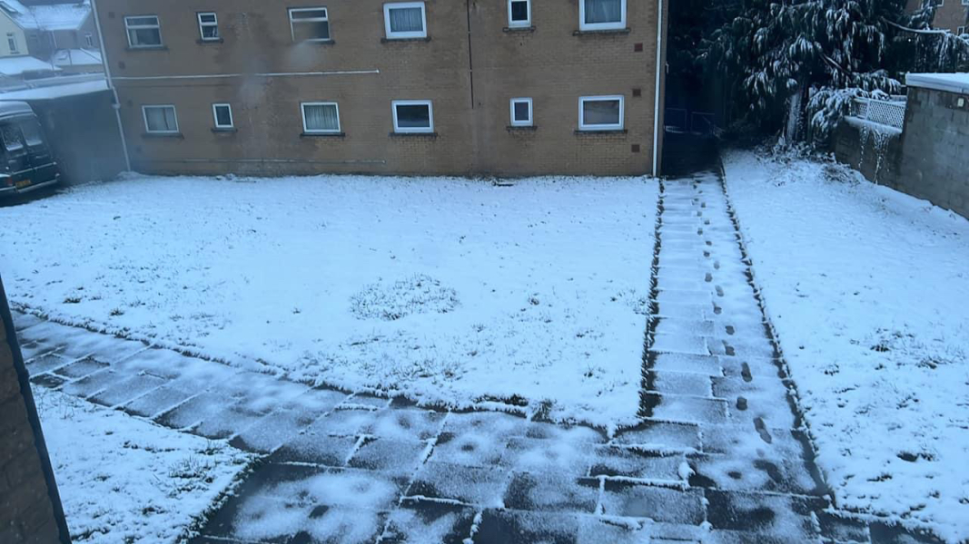 Snow Day!!!
