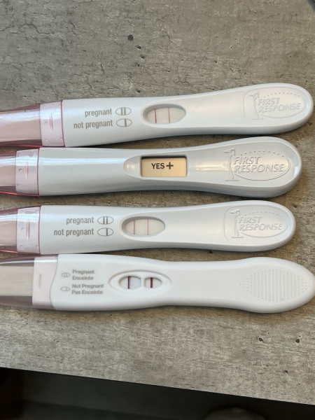 Due November 2023 ✨