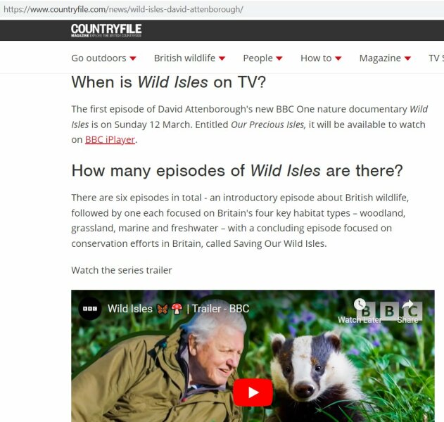 What is going on at the BBC right now?