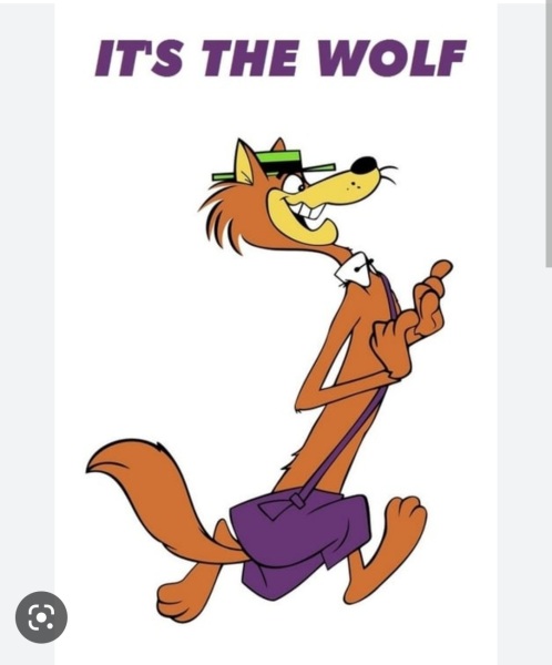 To think the reintroduction of the wild Wolf to Belgium is insanity?