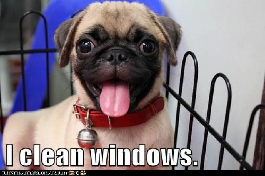 Who's unreasonable - me or window cleaner?