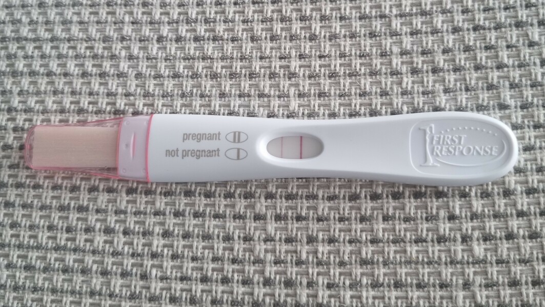 Due November 2023 ✨