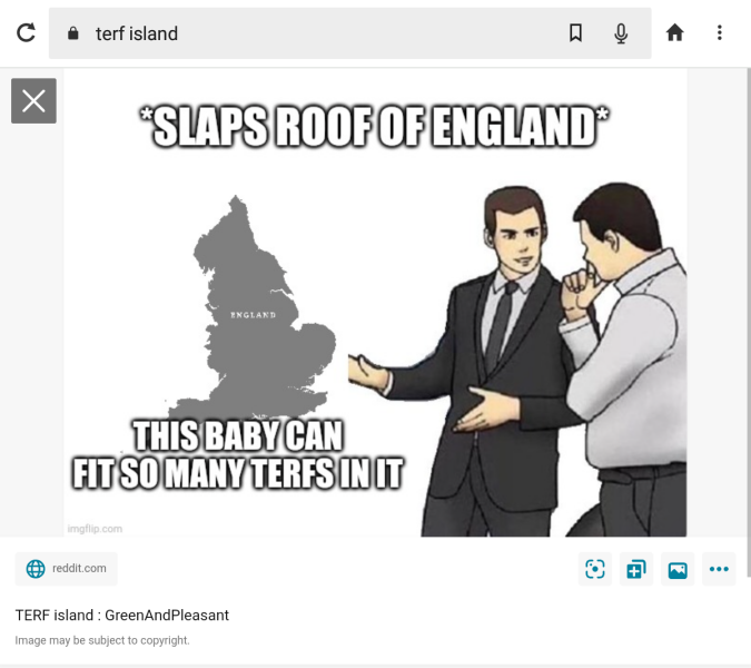 What does ‘terf island’ actually mean?
