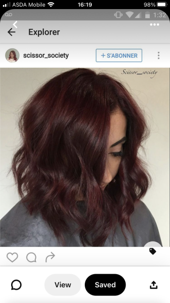 Would this hair dye work? 