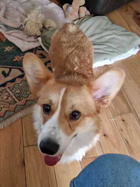 How to improve recall when *I don't have anything he wants?*