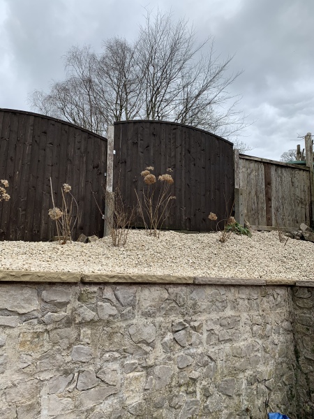 What can I plant to screen this fence (pic)? Tall grass?