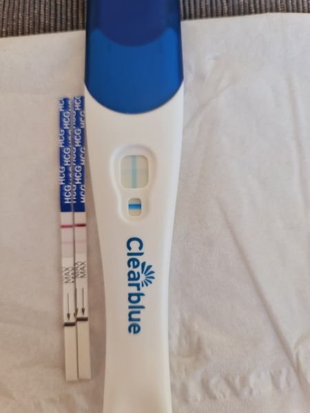 CD 31, is this positive?