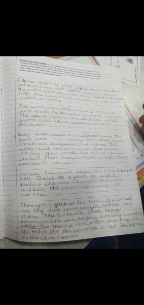 What's your year 3 boys writing like?