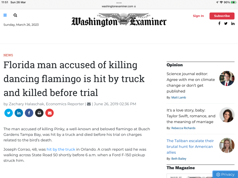 A Florida Man