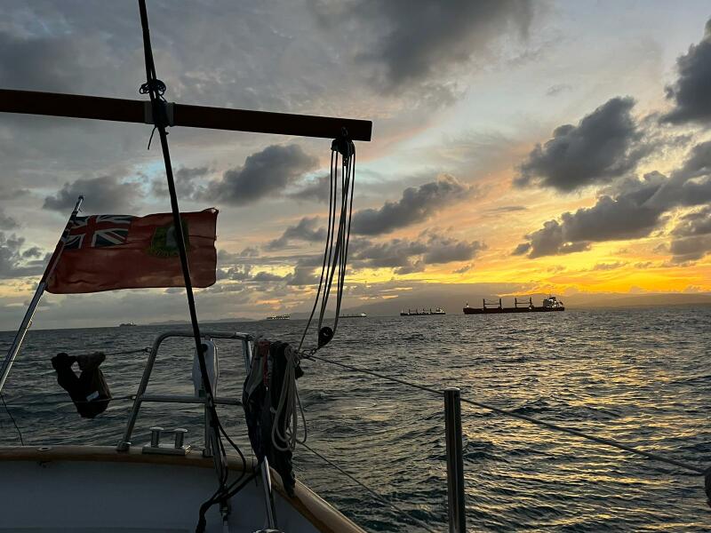 Thread 45 GCSE Covid Cohort - Bunnies bouncing into Spring