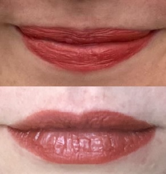 Rust coloured lipstick reccomendations? (pic included) 