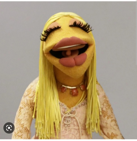 The orange skin/fake lashes/massive eyebrows type of look…