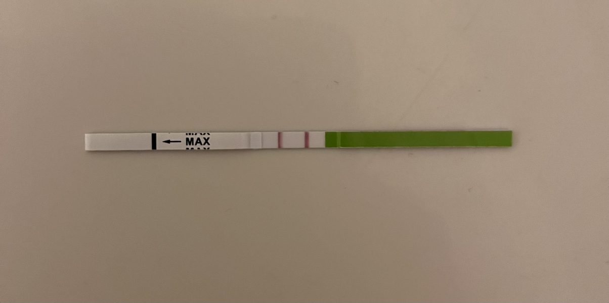 New to OPKs - +ve?