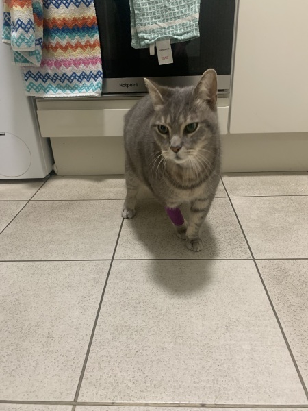 Mithril would like some sympathy please.