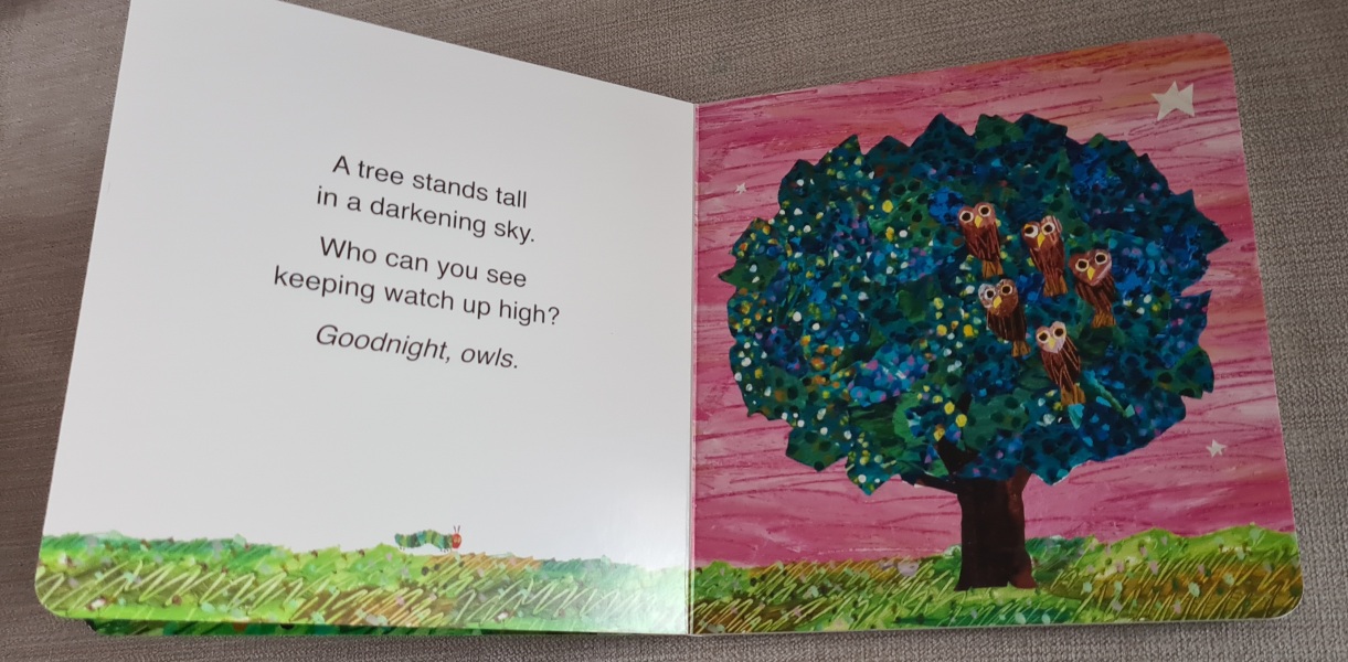 Does anyone have the children's book 'Sleep Tight Very Hungry Caterpillar'?