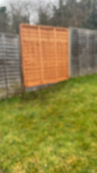 Nightmare neighbour and new fence panel!