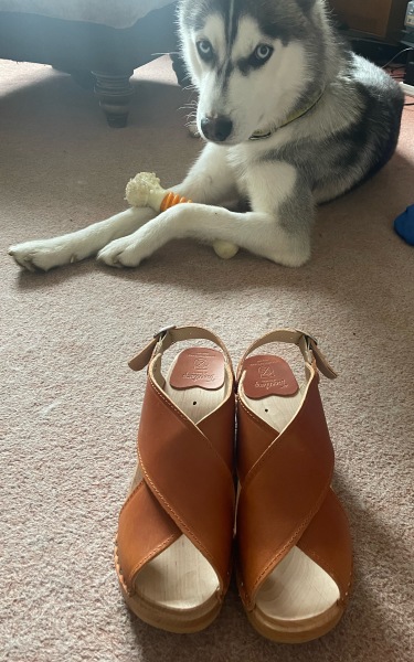 Toasties  onward with Spring in our step to Summer