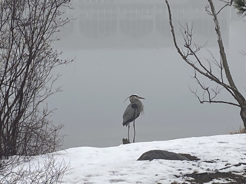 Come and tell me your dull and unexciting news 24: Calmly through the day 