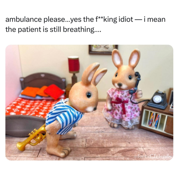 Spotted in an online dating profile