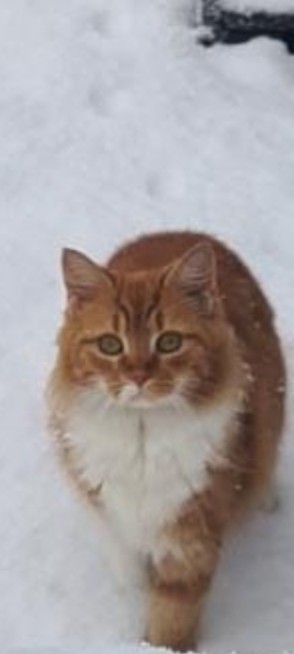 To KNOW Dcat was wrong and secretly think she should admit she was?