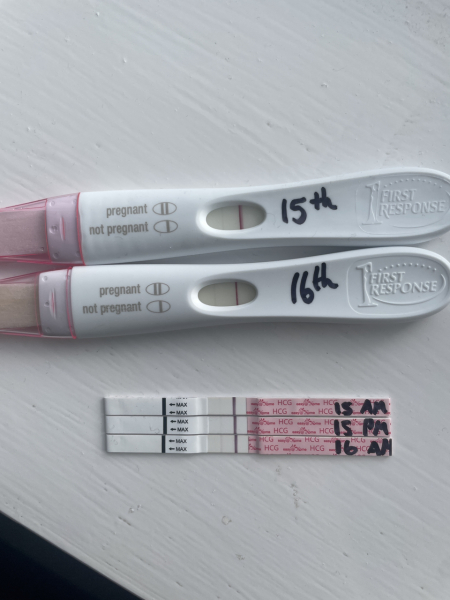 Due November 2023 ✨
