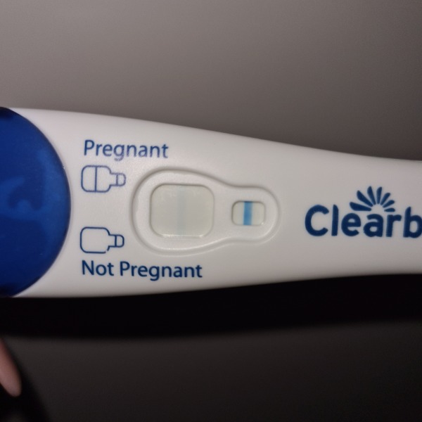 2dpo - any TWW companions?