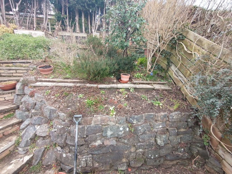 Help me love my alpine garden 