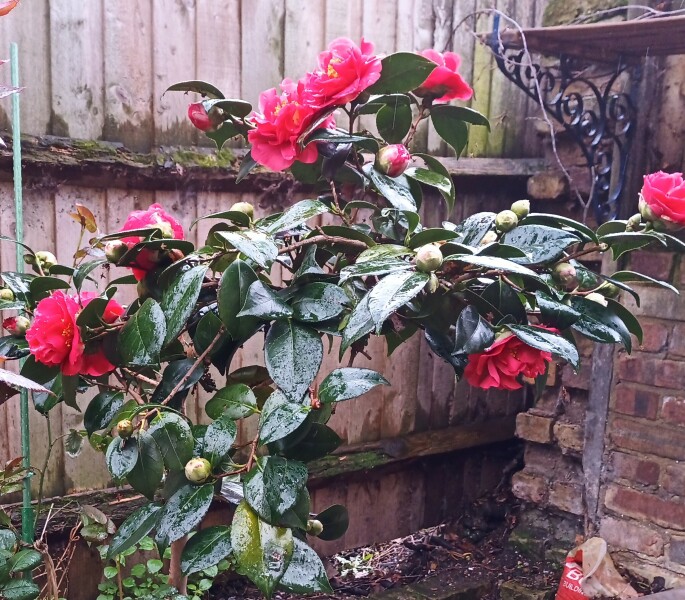 Any Witches Here?- Part 18